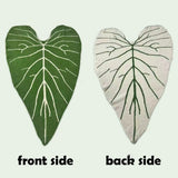 ANTHURIUM REGALE plants blanket