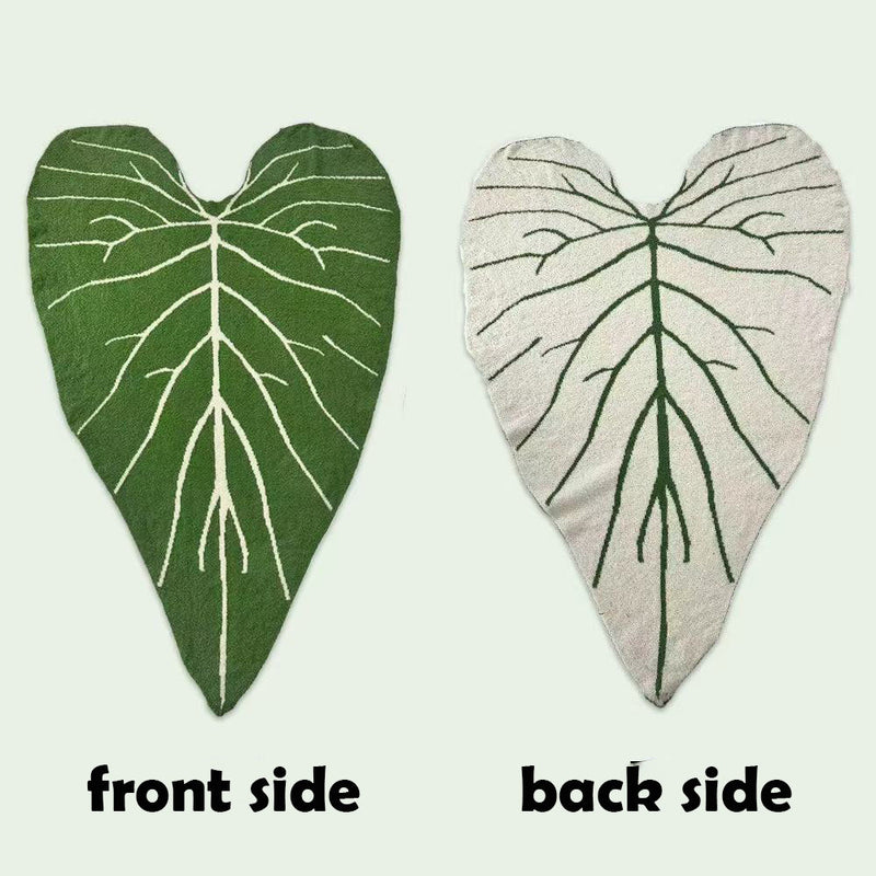 ANTHURIUM REGALE plants blanket