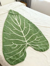 ANTHURIUM REGALE plants blanket
