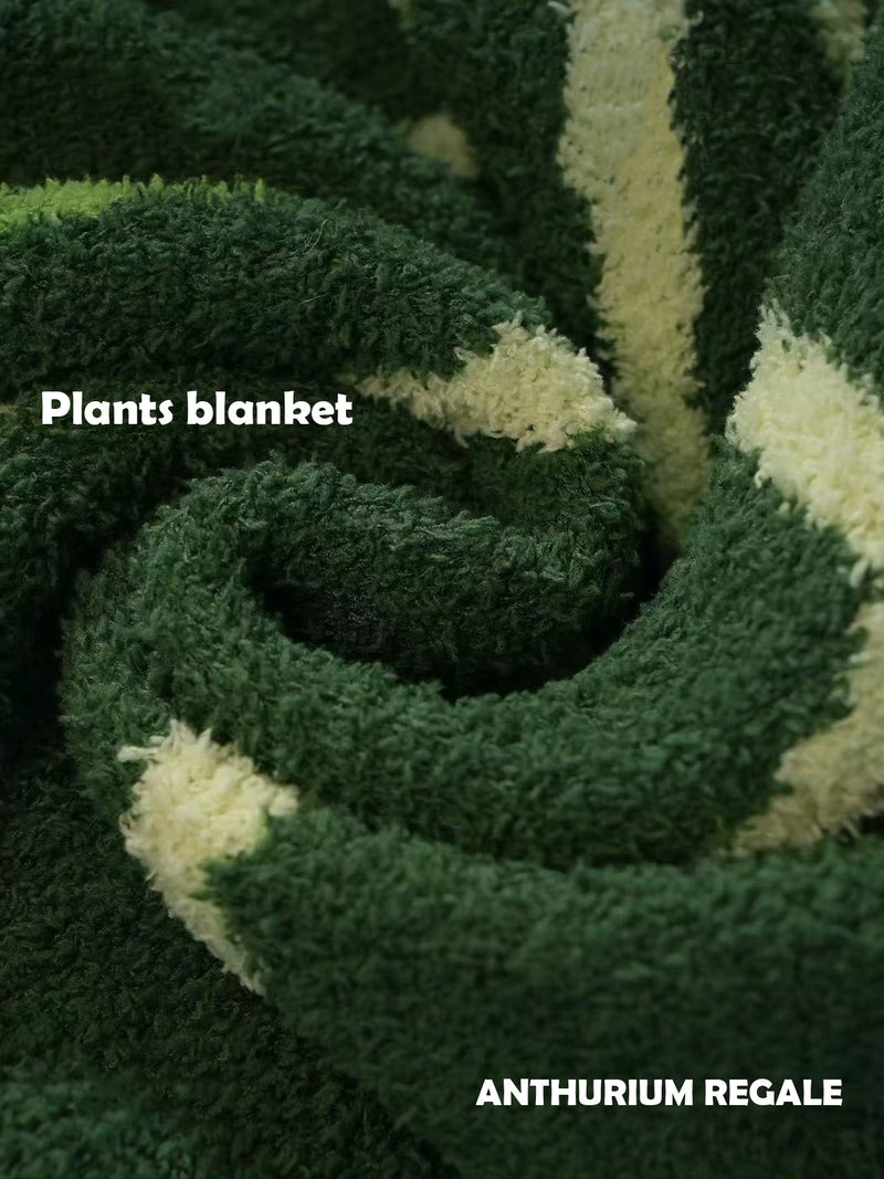 ANTHURIUM REGALE plants blanket